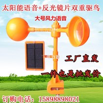 Wind bird repellent bird repellent artifact multi-faceted lens wind wheel voice bird repellent Orchard special bird catching home Outdoor