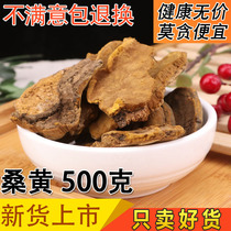 New goods plateau Sanghuang Tibetan plateau premium Phnom Penh mulberry tree Sanghuang 500g Ganoderma lucidum Sanghuang