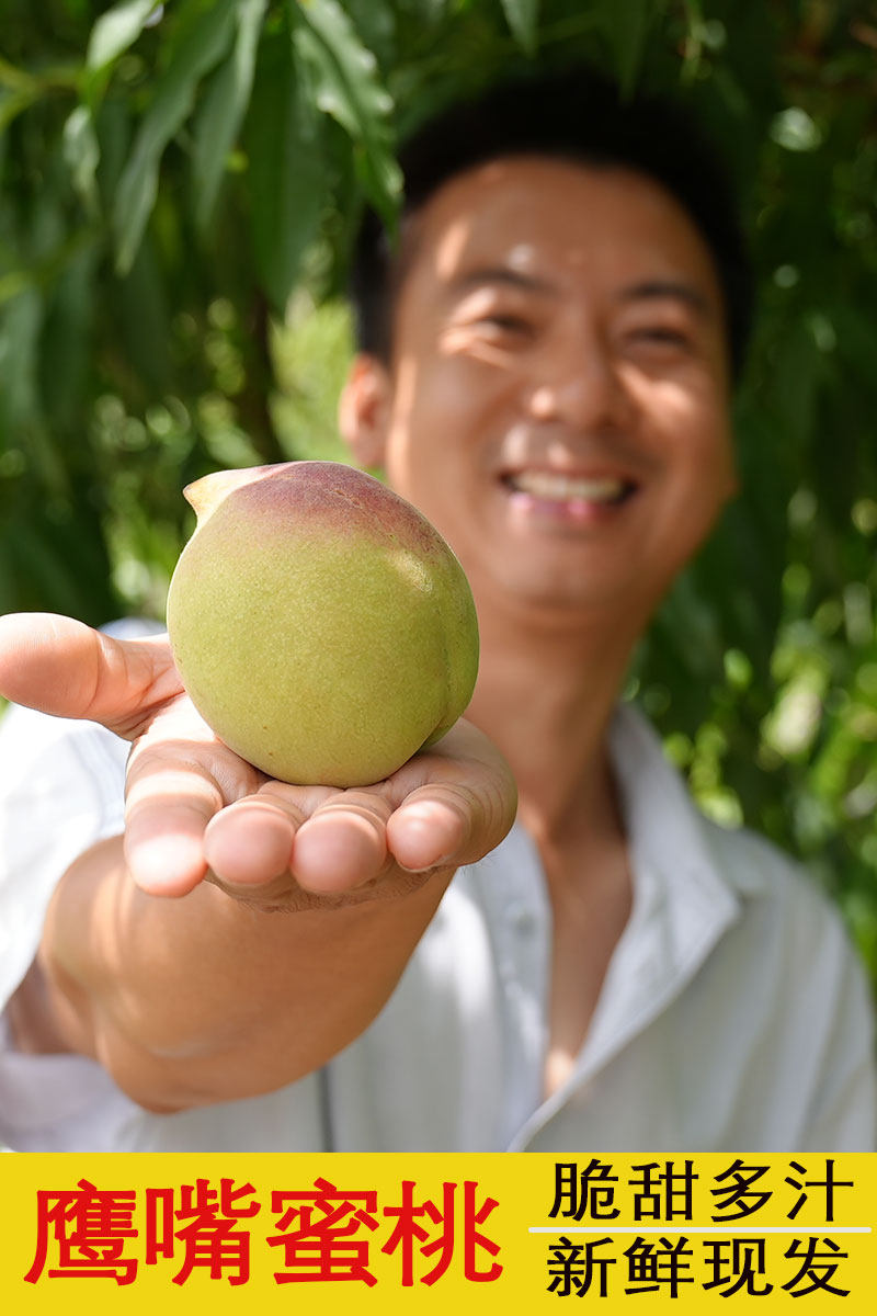 摘果桃 15kg 果物