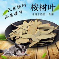 Honeybag Eucalyptus Eucalyptus Leaves Deodorized Bacteriostatic Anti-Taste Cushion Material Dry Leaves Drying Blue Eucalyptus Leaves Can Be Used As A Snack