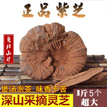 Shaoguan Zizhi 500 grams of whole Ganoderma lucidum Linzhi super thick spore powder Ganoderma lucidum semi-wild mature good product