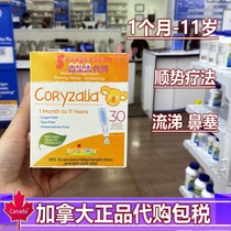 Homebound Boiron Coryzalia infant runny nose plug 3 months -11 years 30ml Canada