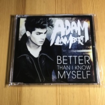 Adam Lambert Better Than I Know Myself