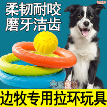Border Shepherd Dogs Side Shepherd Dogs Special Pull-Pull Toys Puppies Grinders self-Hi-bite Relieving Smother