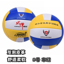 No. 5 Volleyball Volleyball Primary and Secondary School Students Teaching Training Ball Volleyball Junior Soft Student Training Volleyball