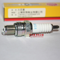 NGK resistance spark plug for Lifan LF250 V16 V250CC250 moment yunlongjia V Ba V Coffee V way 250