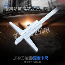 LINKS measuring tool Ha measuring depth vernier caliper Vernier depth scale 0-200-300-500mm