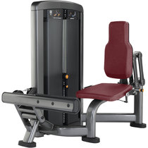 Original Lijian LIFEFITNESS brand Insignia series calf extension trainer SS-CE