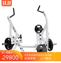Original imported American Lijian LIFEFITNESS Haumai Station Ground Twist Trainer (left) GBTL