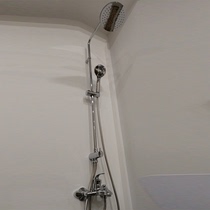 Moen copper shower