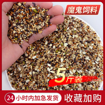 Devil feed pigeon grain without corn small particle feed pigeon food nutrition Turtledove special pigeon 5kg