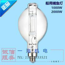 Marine fishing light air bulb 1000W2000W high power high light efficiency fish light white light green light
