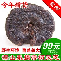 Shaoguan specialty Ganoderma lucidum black Ganoderma lucidum dry goods with handle 500g