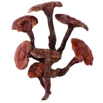 Shennongjia Linzhi immune one catty can slice the whole small Ganoderma lucidum boutique picking tea Linzhi elders