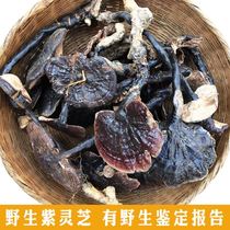 Deep mountain pure wild Ganoderma lucidum purple Ganoderma lucidum black lucidum Linzhi Zizhi Zhizhi pruning selection dry liquor 250g sliced powder