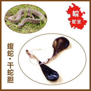 蛇胆 干蛇胆 蛇胆干 真蛇胆 蝮蛇 干蛇胆 3元/个