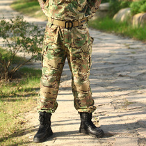 Thief-less WZJP camouflage trousers casual outdoor pants multi-bag trousers men and women military fans tactical pants