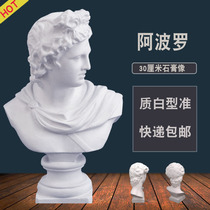 Apollo plaster head art teaching aids sketch sculpture model wedding photography decoration props ornaments statue