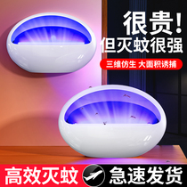 Jiazaki Recommended Mosquito-borne Mosquito lamp Home Restaurant hotel Electric mosquito-borne Pregnant women Pregnant Women Shops for Domestic Bedrooms Outdoor Indoor Mosquito Repellent for Mosquito Repellent Mosquito-Prevention Mosquito Killer Mosquito Killer Mosquito