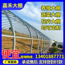 Greenhouse skeleton farming vegetable greenhouse steel pipe supplies conjoined building agricultural elliptical pipe full set of brackets