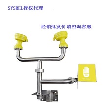  SYSBEL Wall-mounted eye washer (no basin type) WG7020 Factory eye washer Emergency eye washer