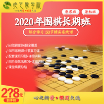 2020 Go self-study tutorial Introduction Basic to 5 levels training AI layout fixed style Special breakthrough art