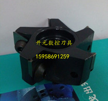 Indexable milling cutter 50 63 80 100 125 160 200 250 installed triangular blade 3130511