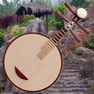 高仿红木月琴民族乐器京剧初学演奏满月式月琴正品保障厂家直销包