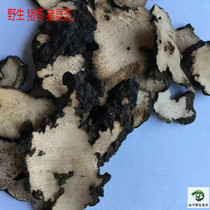Wild Medicinal Fungi Wild Boar Wild Boar Dung ground Upeach Pig Lucid pig Pig Lucid 100 gr