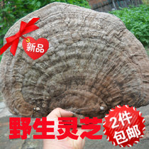 Changbai Mountain Ganoderma lucidum Ganoderma applanatum northeast Ganoderma applanatum Ganoderma lucidum qing zhi cow dry 12 yuan 500g2 pounds