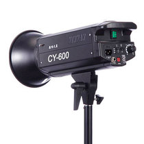 Yinyan CY-600 600W professional studio flash standard color temperature photography lamp portrait photography