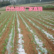 0 6 meters wide 0 7 meters wide 0 8 meters wide film Anti-weeding Agricultural vegetables and fruits planting insulation film transparent film