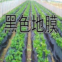Orchard film Agricultural white black weeding film Plastic film Reflective film Greenhouse film Agricultural film Black film