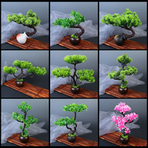 Sishan-body plate decoration flowers and grass creative plate decoration simulation welcome pine trees around the edge embellishment ornaments small ornaments