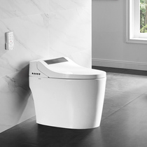 Wrigley Smart Toilet Home Remote Control Integrated Flip Smart Toilet AKB1308 Home
