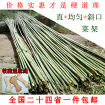 () Bamboo pole vegetable garden stand small bamboo pole bean horn cucumber stand Plant climbing pergola fence flagpole