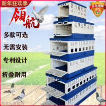 Pilot release training cage press cage report plastic folding pigeon cage subset pigeon racing cage transport jump cage public shed