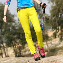 Outdoor quick-drying pants women slim slim slim four-sided elastic tear-resistant wear-resistant UV breathable women spring and summer
