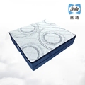 Sealy / Silian energy mattress