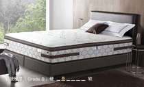 Xinjunli