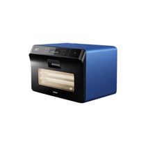 Boss Desktop Steam Box ST01E