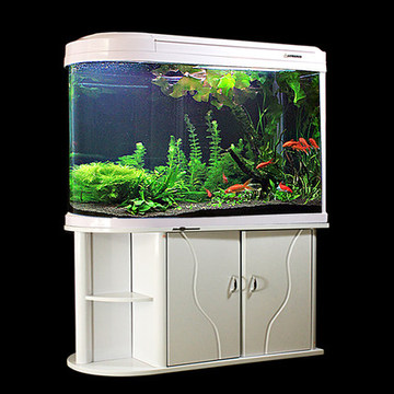 闽江屏风中型鱼缸水族箱封闭式u型子弹头吧台金鱼缸上滤玻璃鱼缸