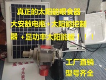Solar timing chicken feeder Chicken feeder Duck automatic feeder Pigeon timing feeder Quail feeding