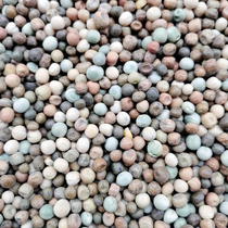 Pure pea spray nest brood pigeon grain support crop crop pigeon food Pigeon Pigeon material pigeon food 50kg