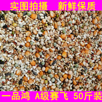 Yifinhong AA Saifei pigeon grain 50kg