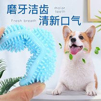 Dog Grinders Toy Deconstulator Resistant to Bite Resistant Teeth Puppies Puppies Teddy Small Dogs Pet Pooch Supplies Big