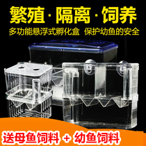 Fish tank isolation box guppies incubator tropical fish small fish young fish incubator box spawning room small fry