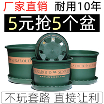 Plastic Nordic new gallon flower pot green dill moon hydrangea succulent large factory direct sales clearance small chunky pot