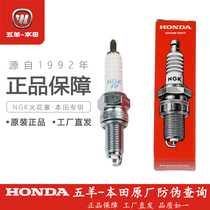 five sheep honda CB190R X S TR storm front eye manganese zhi zhi channel Warhawk Phantom original NGK Spark Plug