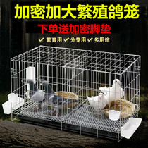 Pigeon cage breeding cage home with partition pairing breeding cage large number dove house pigeon utensil flush with clear cabin folding pigeon cage